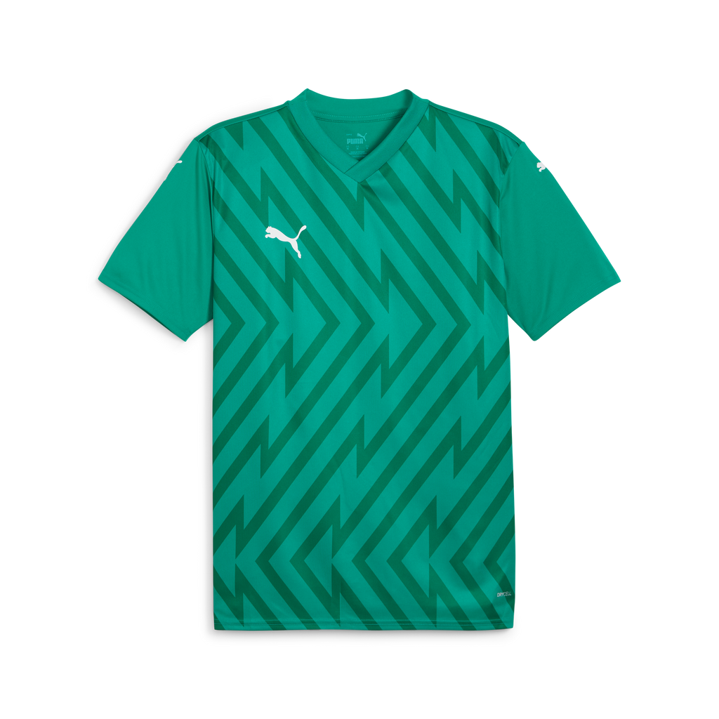 PUMA teamGLORY JERSEY - MENS