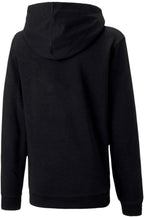 PUMA teamGOAL 23 CASUAL HOODIE JR - KIDS