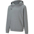 PUMA teamGOAL 23 CASUAL HOODIE JR - KIDS