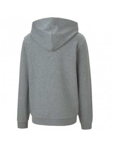 PUMA teamGOAL 23 CASUAL HOODIE JR - KIDS
