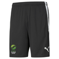 CENTRAL FOOTBALL REFEREES PUMA teamLIGA TRAINING SHORT - MENS