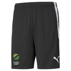 CENTRAL FOOTBALL REFEREES PUMA teamLIGA TRAINING SHORT - MENS
