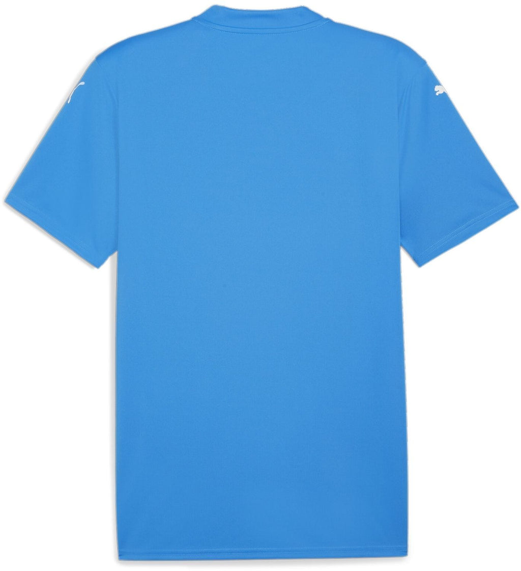PUMA teamGLORY JERSEY - MENS