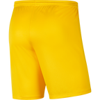 CANTERBURY UNITED PRIDE  NIKE PARK III KNIT GK SHORT - MEN'S
