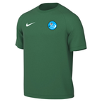 HAWKES BAY FUTSAL NIKE PARK VIII GK JERSEY - MENS