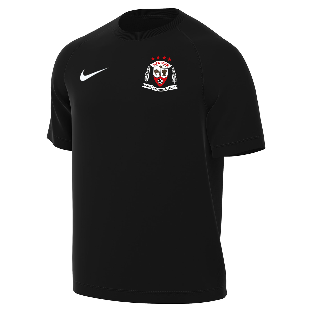 WESTERN AFC NIKE PARK VIII JERSEY - MENS