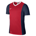 NIKE PARK DERBY JERSEY - MENS