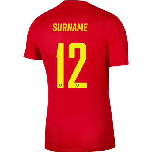 WAITEMATA FC NIKE PARK JERSEY - MEN'S
