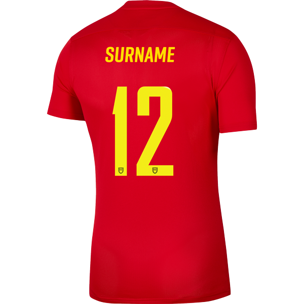 WAITEMATA FC NIKE PARK JERSEY - KIDS