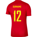 WAITEMATA FC NIKE PARK JERSEY - KIDS